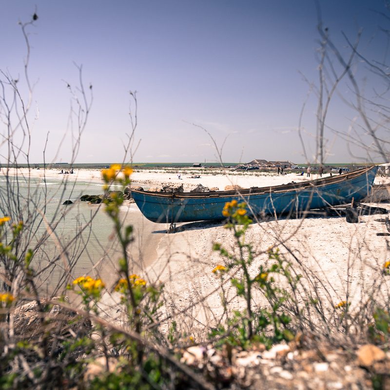 dobrogea
