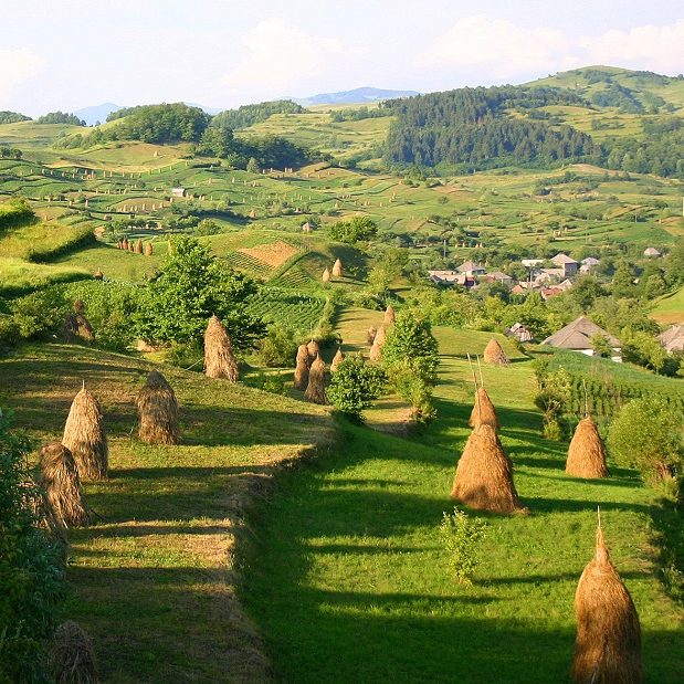 sat maramures 2